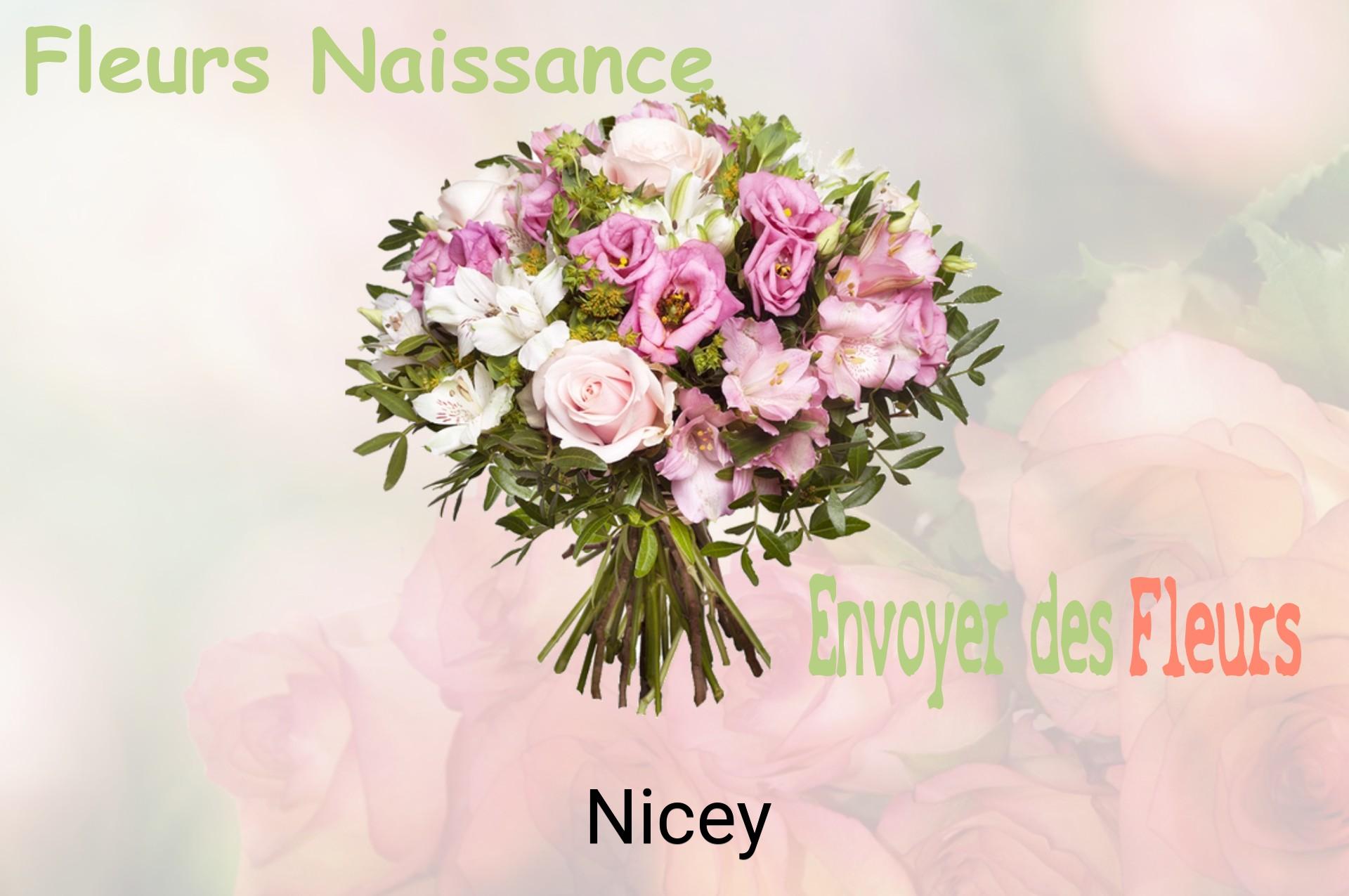 Bouquet de fleurs de naissance livré à Nicey